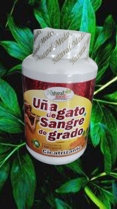 Producto 17